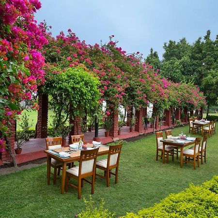 Naturoville Ayurvedic And Yoga Retreat Hotel ริชิเคช ภายนอก รูปภาพ