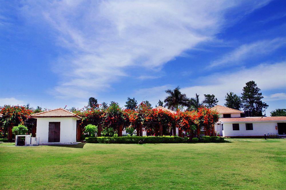 Naturoville Ayurvedic And Yoga Retreat Hotel ริชิเคช ภายนอก รูปภาพ