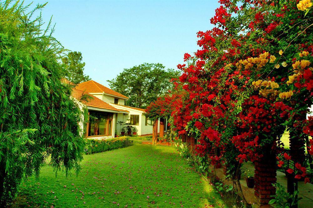 Naturoville Ayurvedic And Yoga Retreat Hotel ริชิเคช ภายนอก รูปภาพ