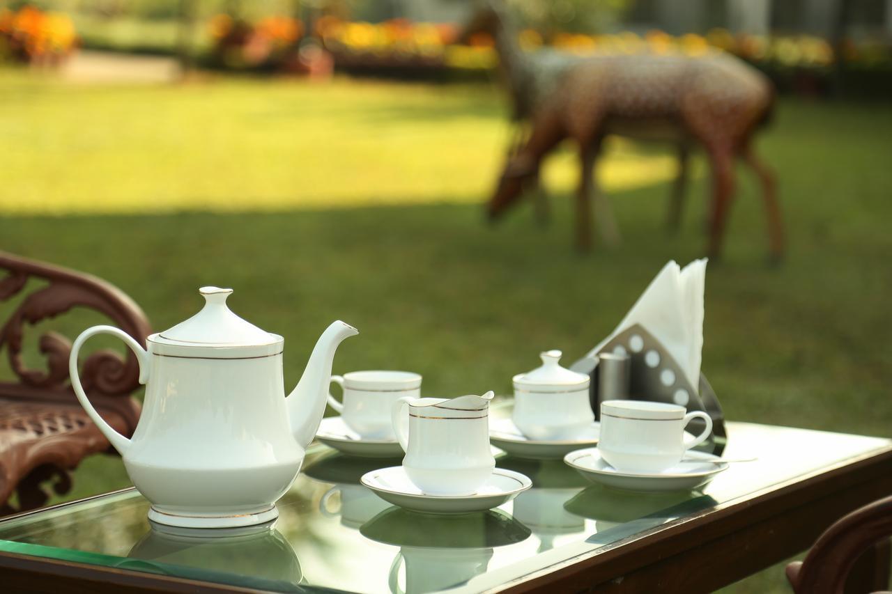 Naturoville Ayurvedic And Yoga Retreat Hotel ริชิเคช ภายนอก รูปภาพ