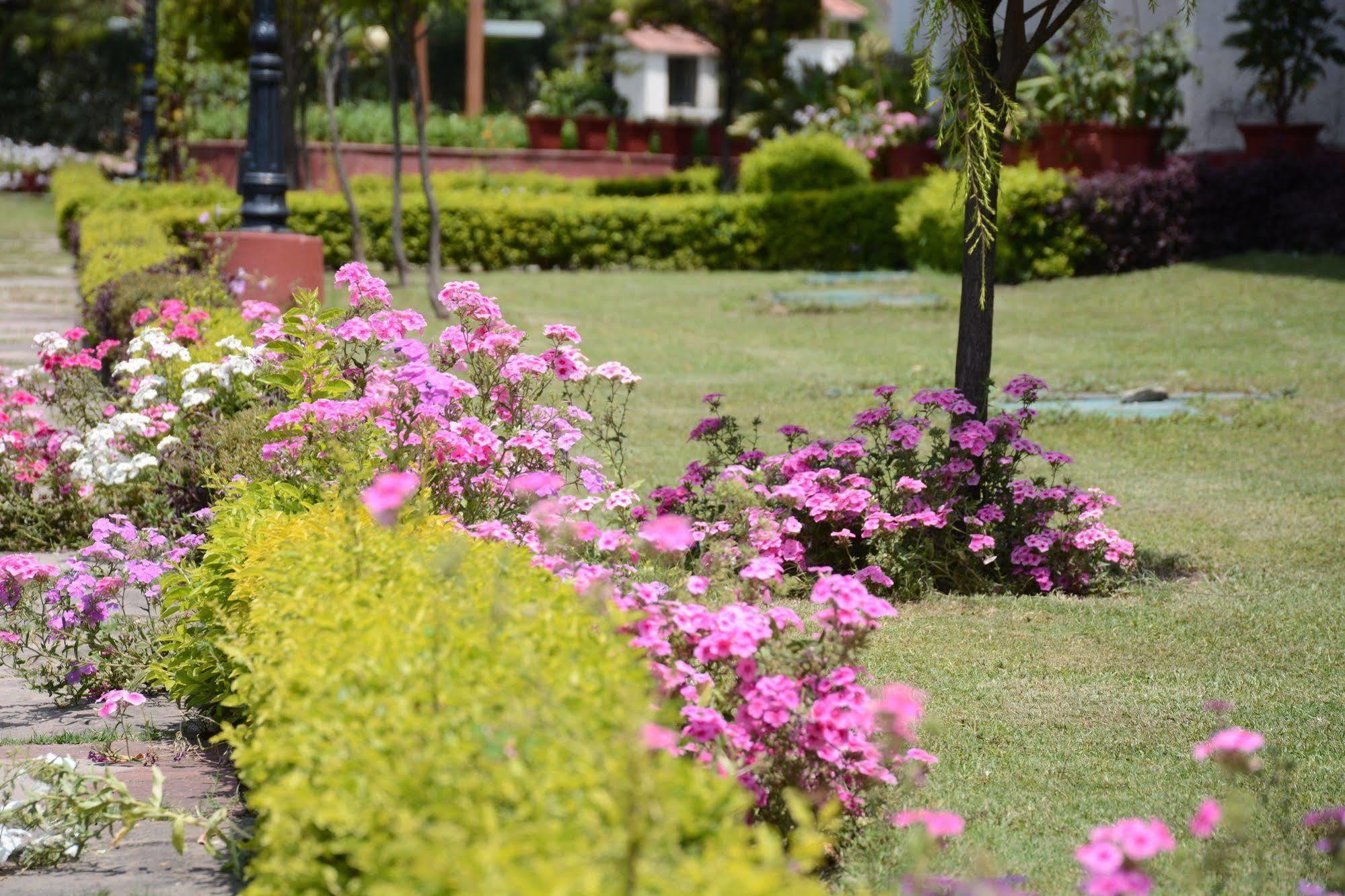 Naturoville Ayurvedic And Yoga Retreat Hotel ริชิเคช ภายนอก รูปภาพ