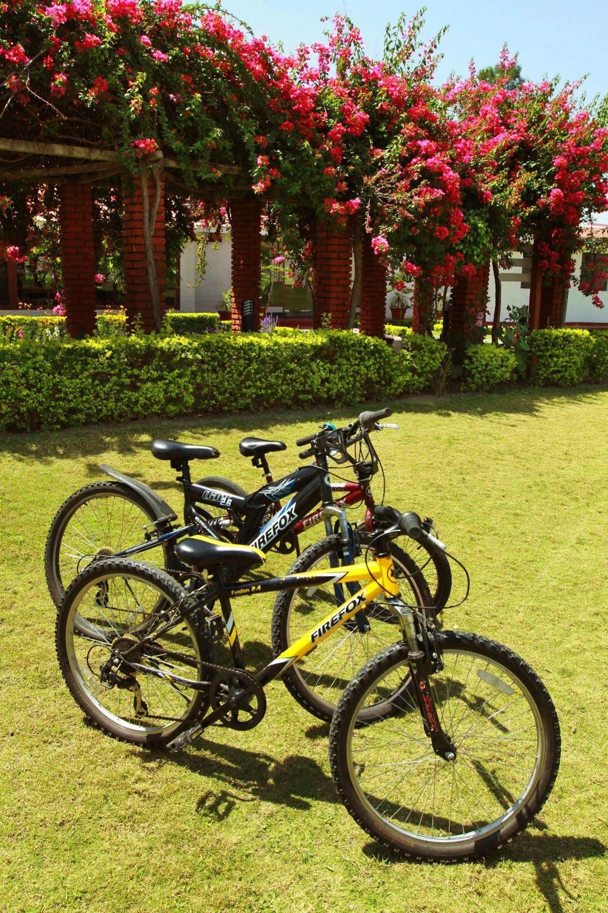 Naturoville Ayurvedic And Yoga Retreat Hotel ริชิเคช ภายนอก รูปภาพ
