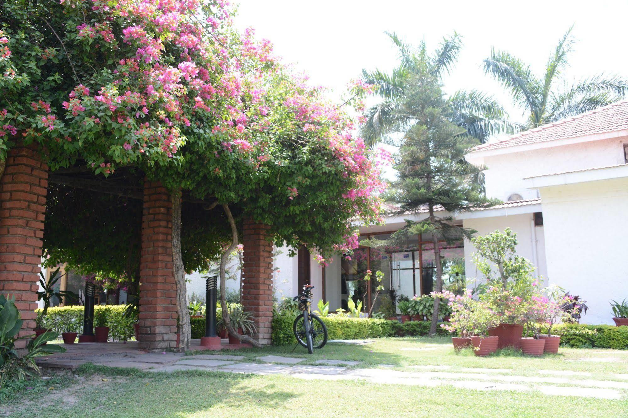 Naturoville Ayurvedic And Yoga Retreat Hotel ริชิเคช ภายนอก รูปภาพ