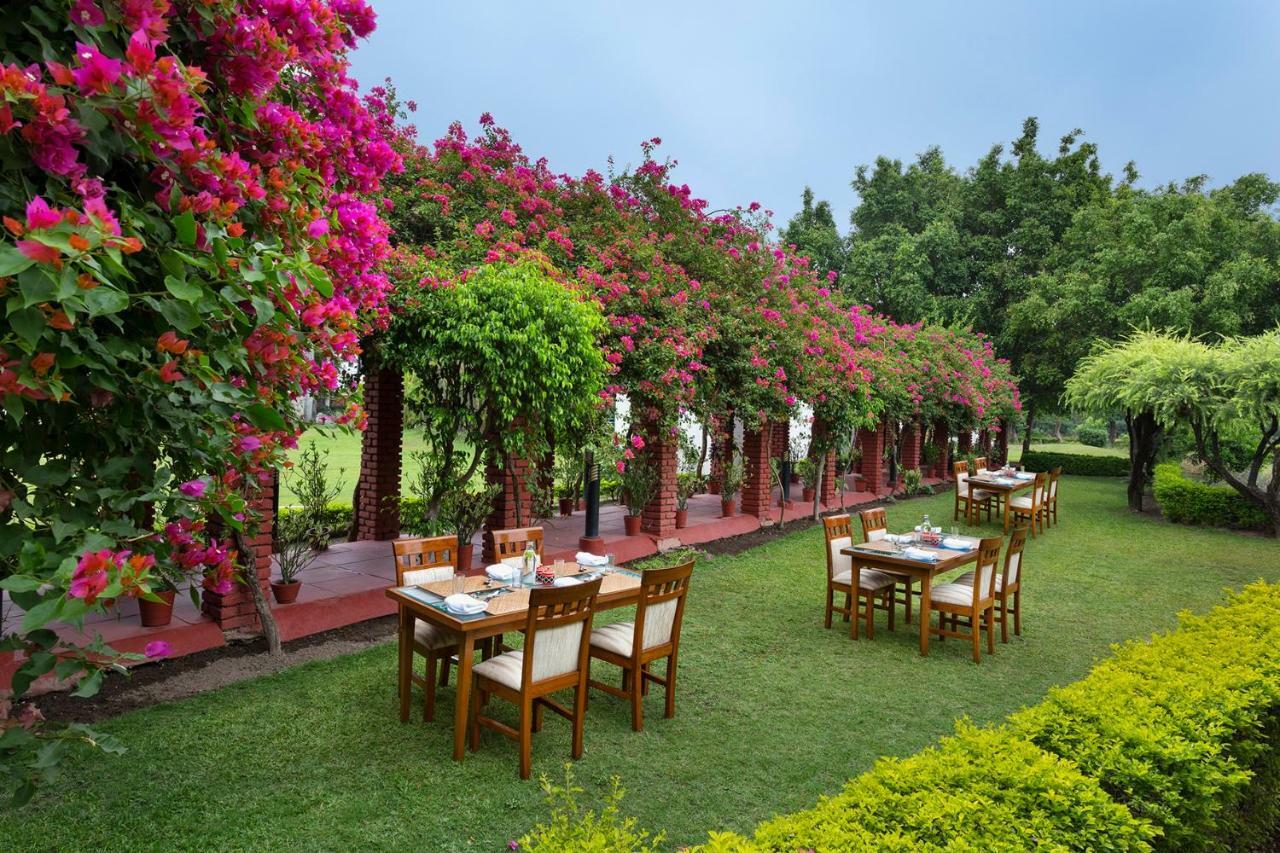 Naturoville Ayurvedic And Yoga Retreat Hotel ริชิเคช ภายนอก รูปภาพ